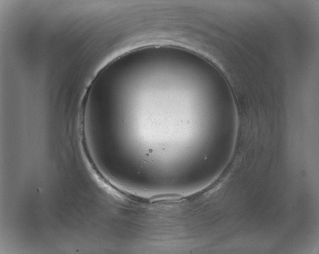 X0000067461526200604071115