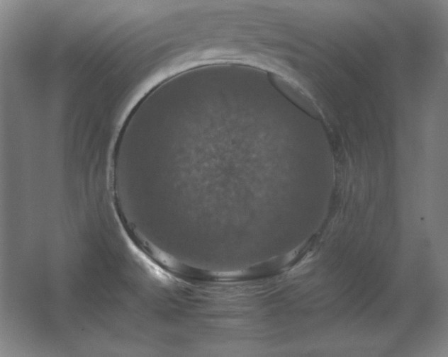 X0000067461527200604071115