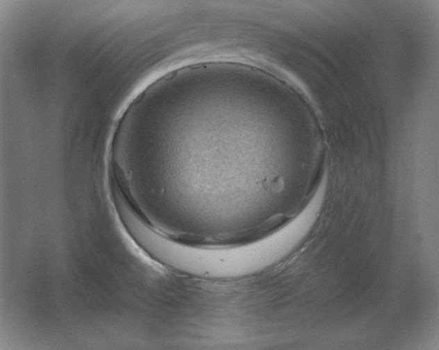 X0000067461528200604071115