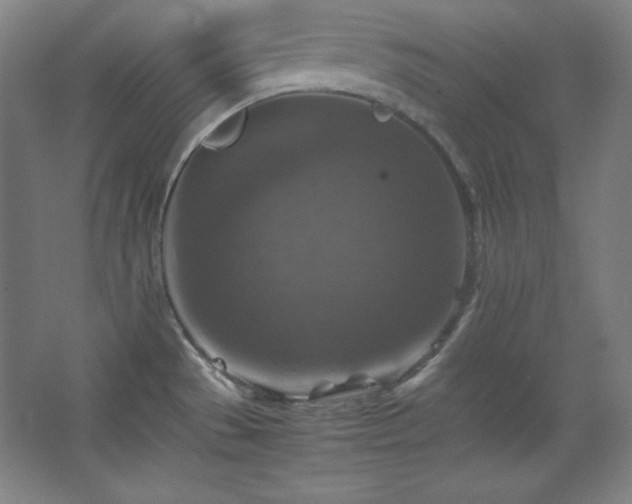 X0000067461529200604071115