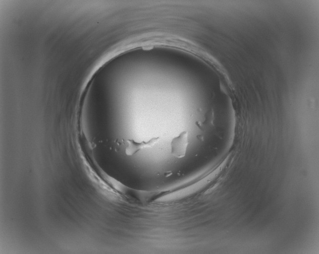 X0000067461530200604071115