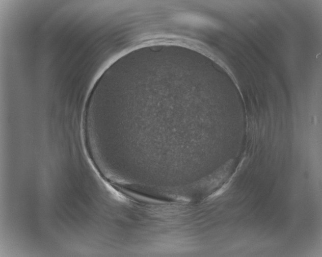 X0000067461533200604071115