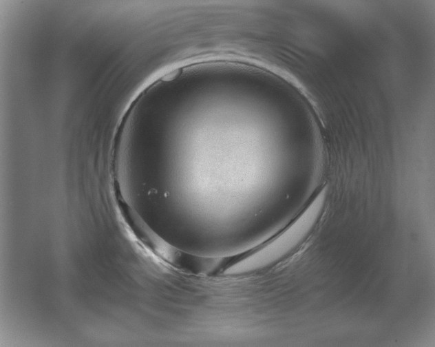 X0000067461534200604071115