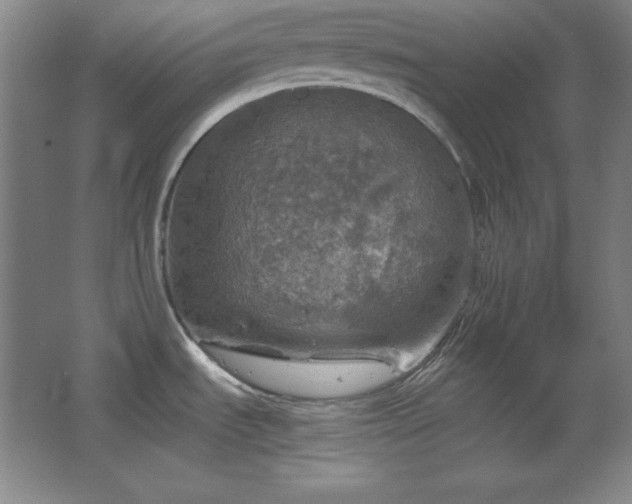 X0000067461535200604071115