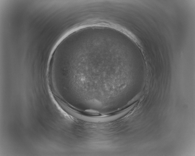 X0000067461536200604071115