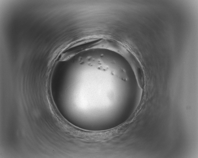 X0000067460001200604101145