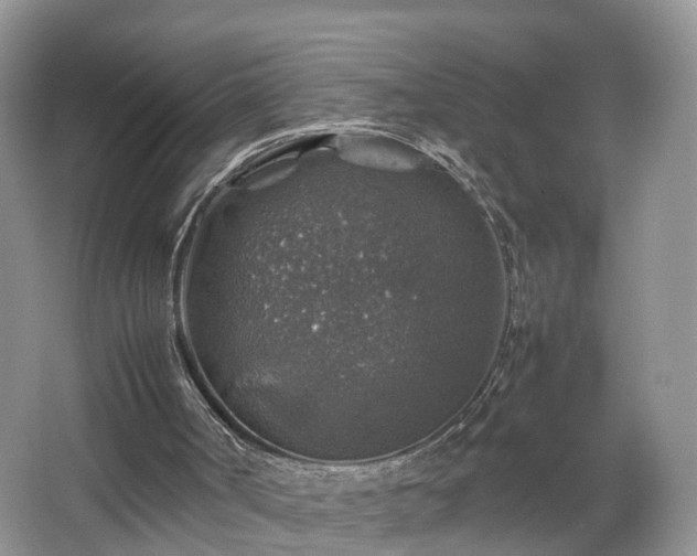 X0000067460002200604101145