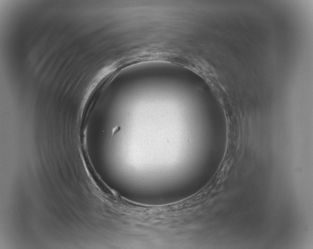 X0000067460003200604101145