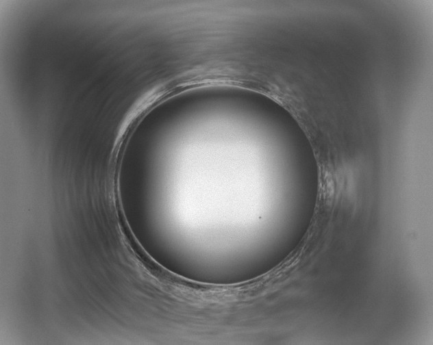 X0000067460004200604101145