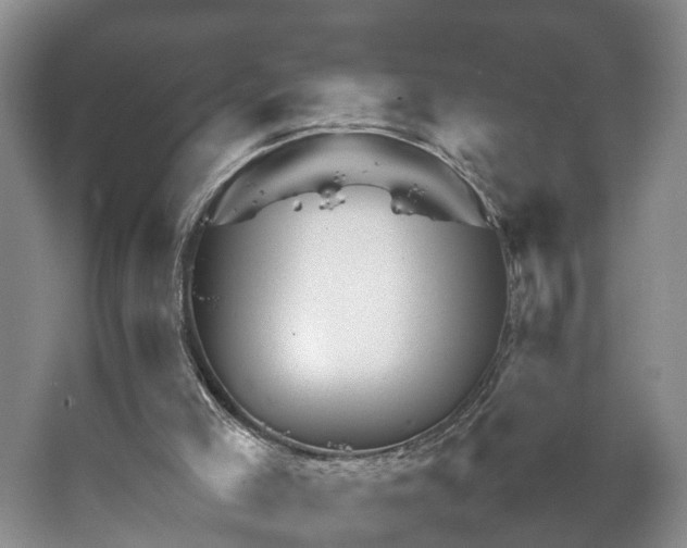 X0000067460005200604101145