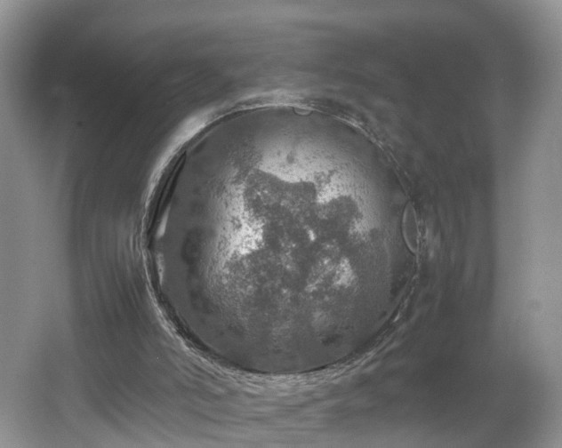 X0000067460006200604101145