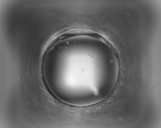 X0000067460007200604101145