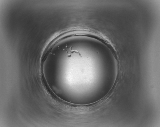 X0000067460008200604101145