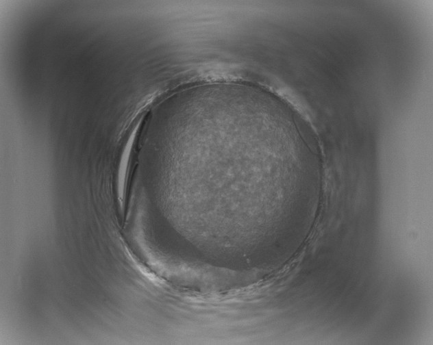 X0000067460009200604101145