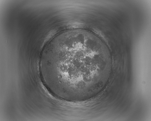 X0000067460010200604101145