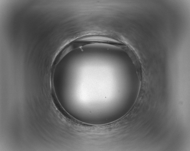 X0000067460011200604101145