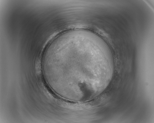 X0000067460012200604101145