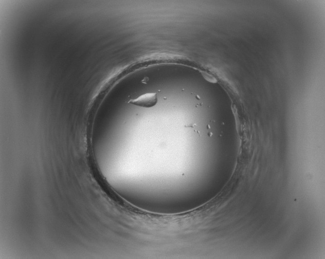 X0000067460015200604101145