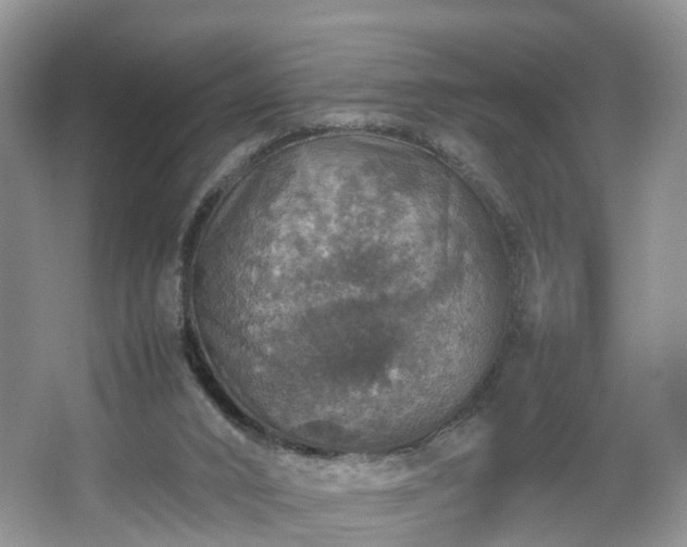 X0000067460016200604101145