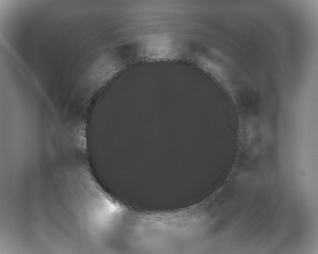 X0000067460017200604101145