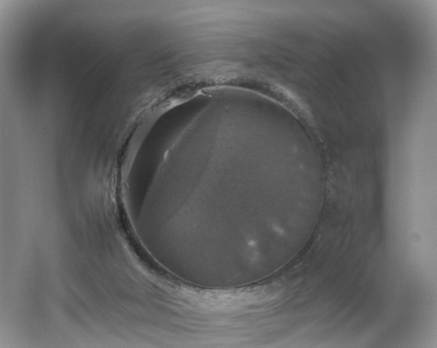 X0000067460018200604101145