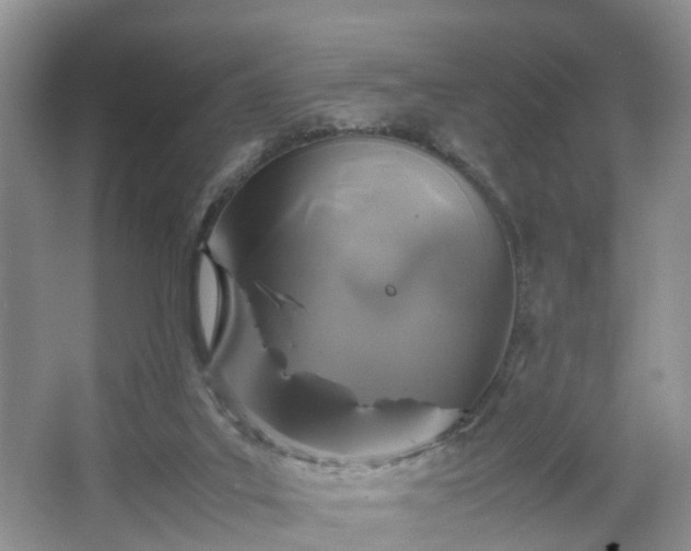 X0000067460019200604101145