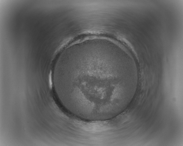 X0000067460020200604101145