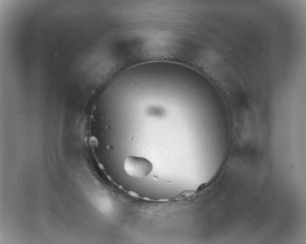 X0000067460021200604101145