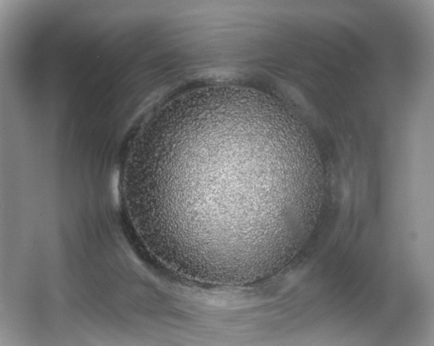 X0000067460024200604101144