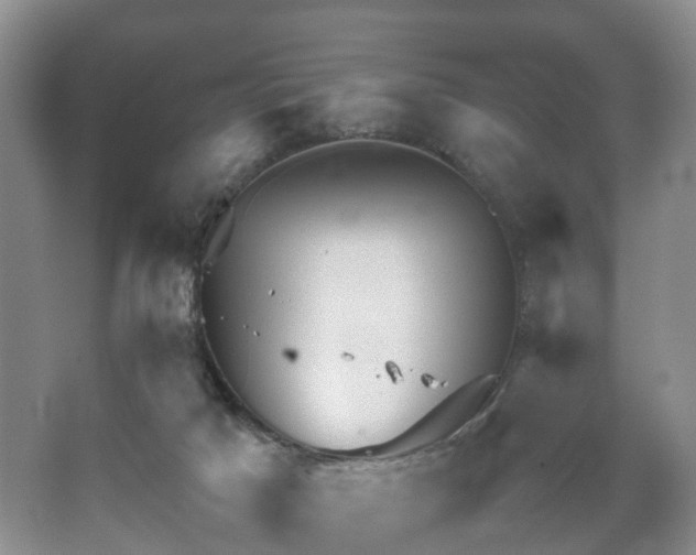 X0000067460025200604101144