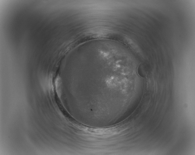 X0000067460026200604101144