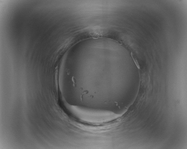 X0000067460027200604101144