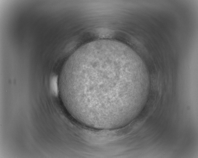 X0000067460028200604101144