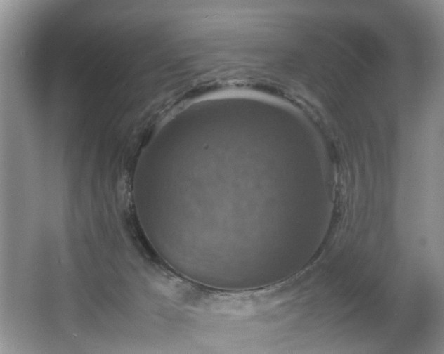 X0000067460029200604101144