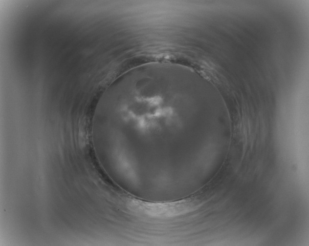 X0000067460030200604101144