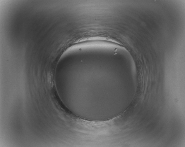 X0000067460031200604101144