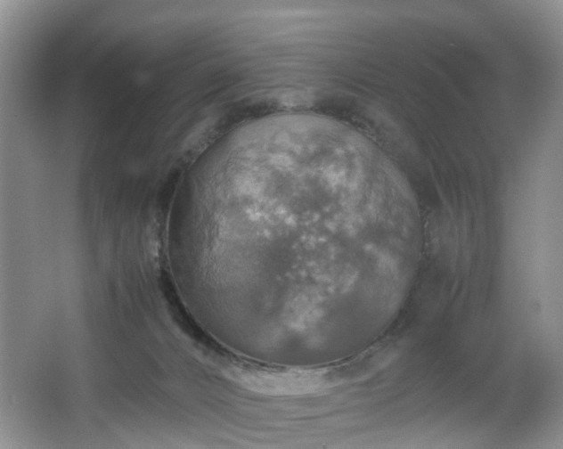 X0000067460032200604101144