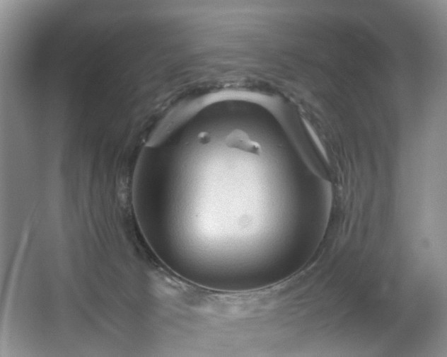 X0000067460033200604101144