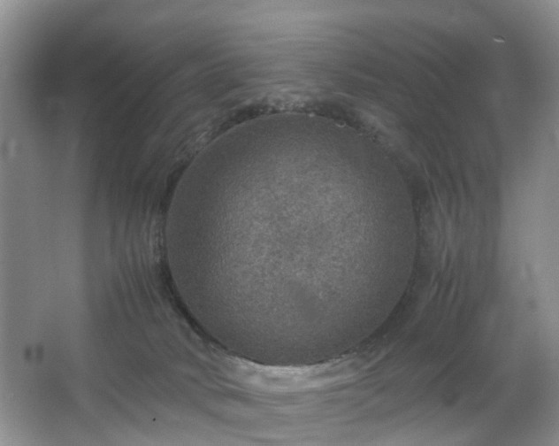 X0000067460034200604101144