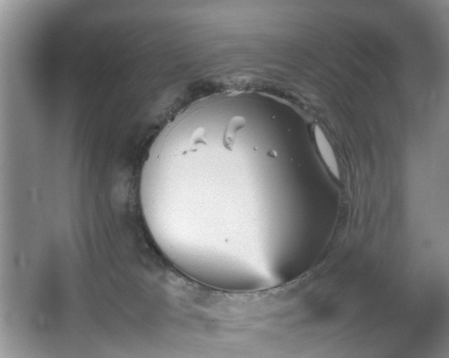 X0000067460037200604101144