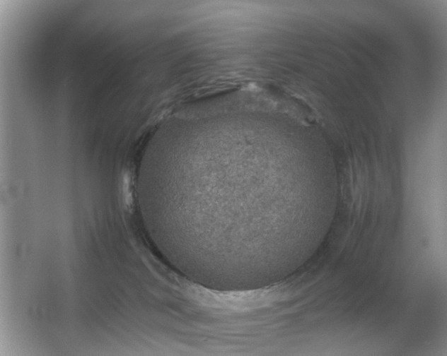 X0000067460038200604101144