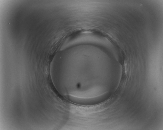 X0000067460039200604101144