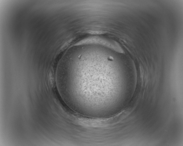 X0000067460040200604101144