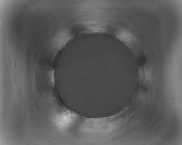 X0000067460041200604101144