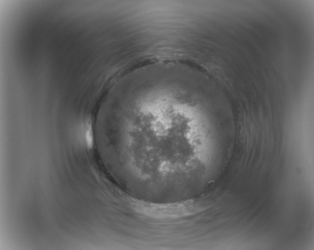 X0000067460042200604101144