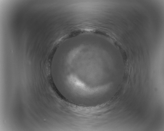 X0000067460043200604101144