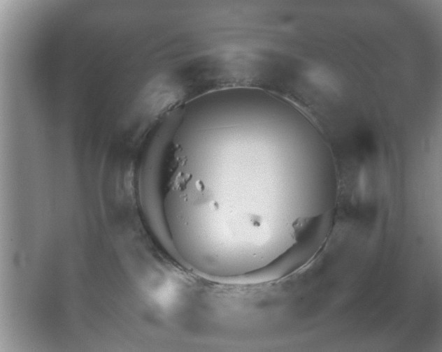 X0000067460045200604101144