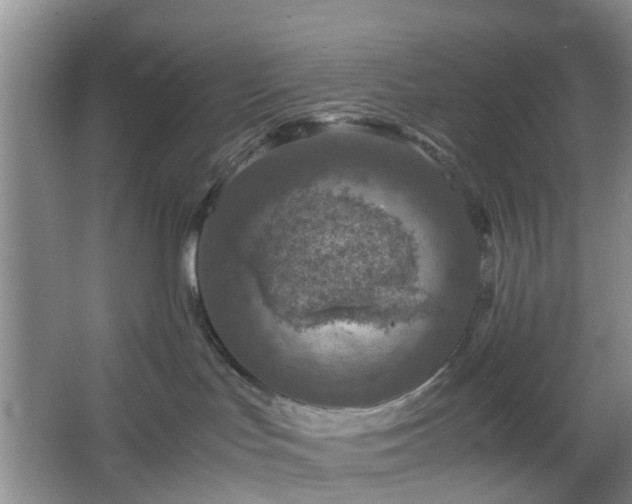 X0000067460047200604101144