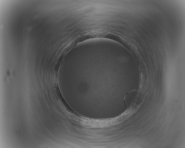 X0000067460048200604101144