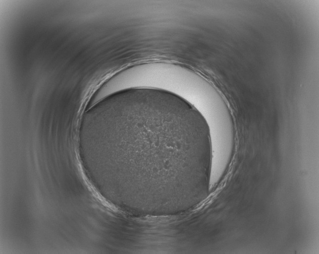 X0000067460049200604101143